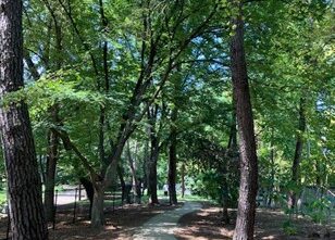 長居公園を散歩