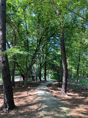 長居公園を散歩